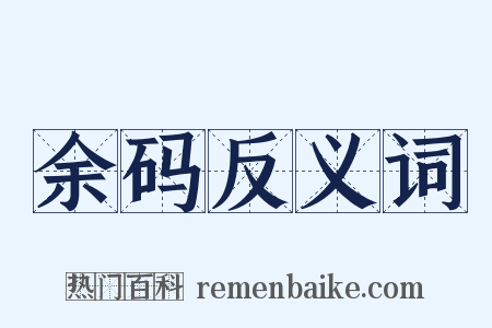 余码反义词是什么意思的图片